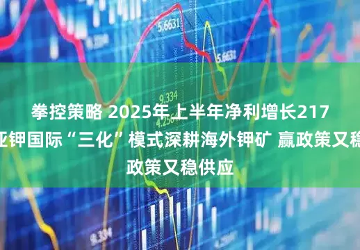 拳控策略 2025年上半年净利增长217%！亚钾国际“三化”模式深耕海外钾矿 赢政策又稳供应